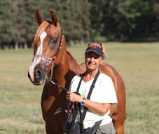 Gallery Haras Khalid Kamal