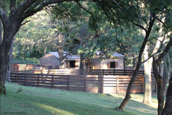 Gallery Haras Khalid Kamal