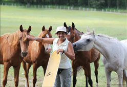 Gallery Haras Khalid Kamal