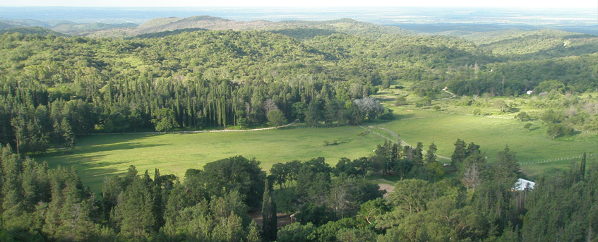 Haras Khalid Kamal - Caballos Arabes