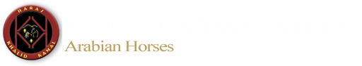 Khalid Kamal Stud - Arabian Horses