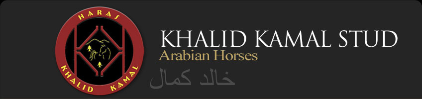 Haras Khalid Kamal | CABALLOS ARAbES