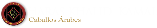 Haras Khalid Kamal Caballos Arabes